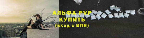 шишки Богородицк